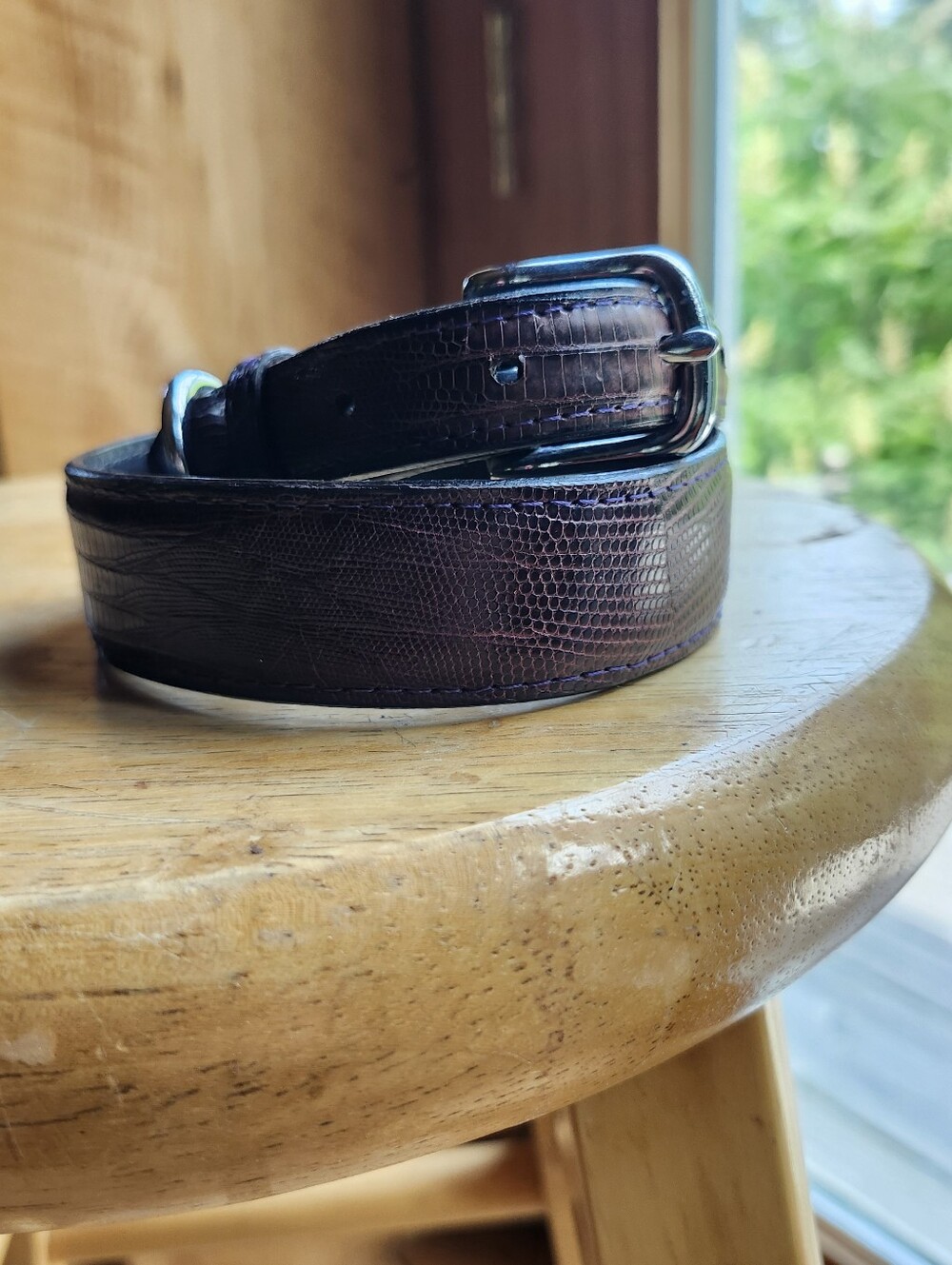 Dark Purple Lizard Dog Collar